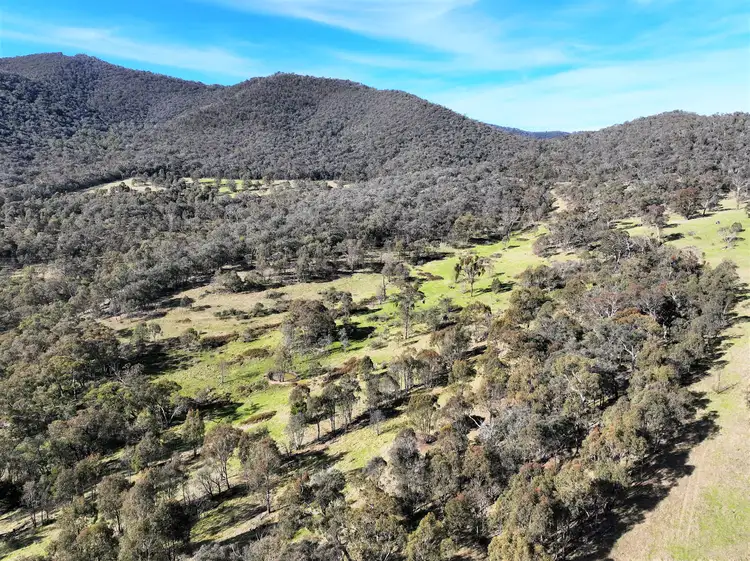 Fifth view of Homely rural property listing, 2574 McKillops Road, Tubbut VIC 3888