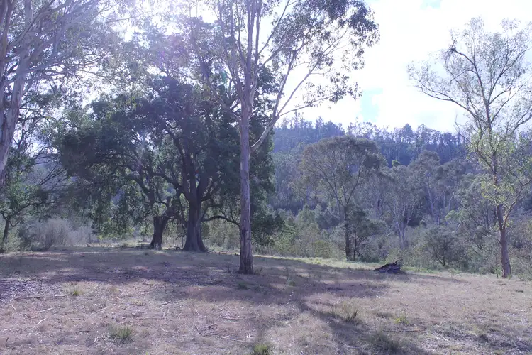 Seventh view of Homely rural property listing, Lot 82 Moruya Road, Araluen NSW 2622
