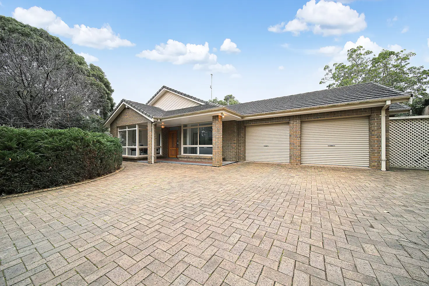 Main view of Homely house listing, 19 Ringmer Drive, Burnside SA 5066