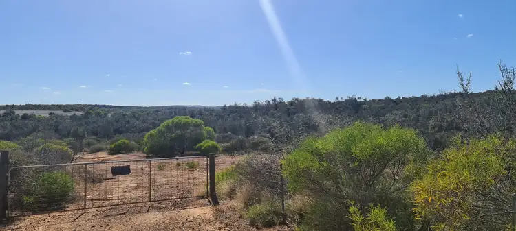 Main view of Homely rural property listing, 37 Yallabatharra Road, Yallabatharra WA 6535