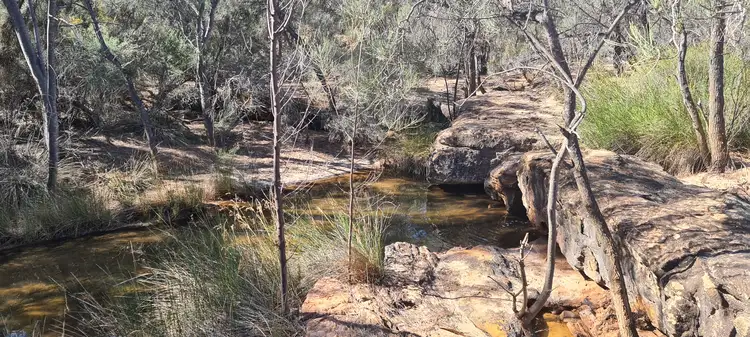 Fourth view of Homely rural property listing, 37 Yallabatharra Road, Yallabatharra WA 6535