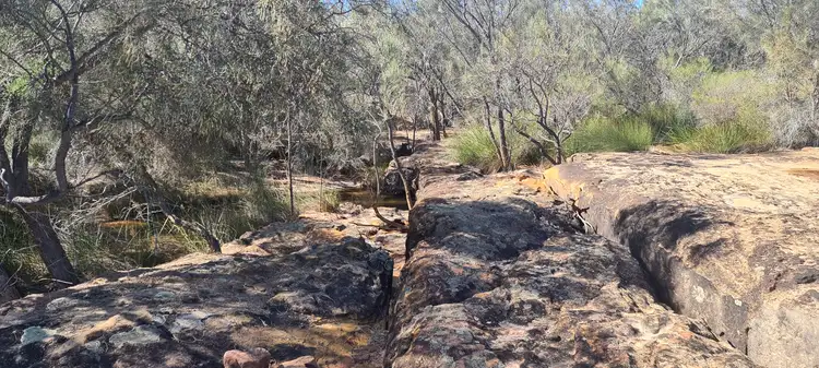 Sixth view of Homely rural property listing, 37 Yallabatharra Road, Yallabatharra WA 6535