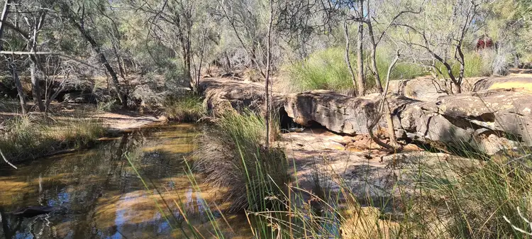 Seventh view of Homely rural property listing, 37 Yallabatharra Road, Yallabatharra WA 6535