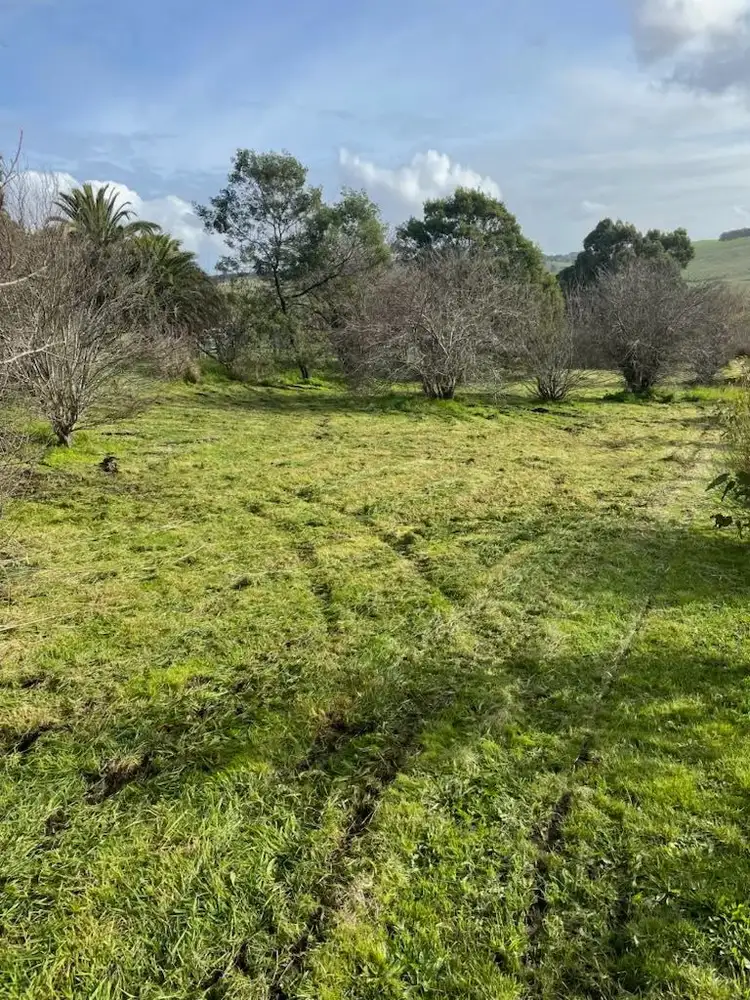 Main view of Homely land listing, Allotment 7 Henty Street, Merino VIC 3310