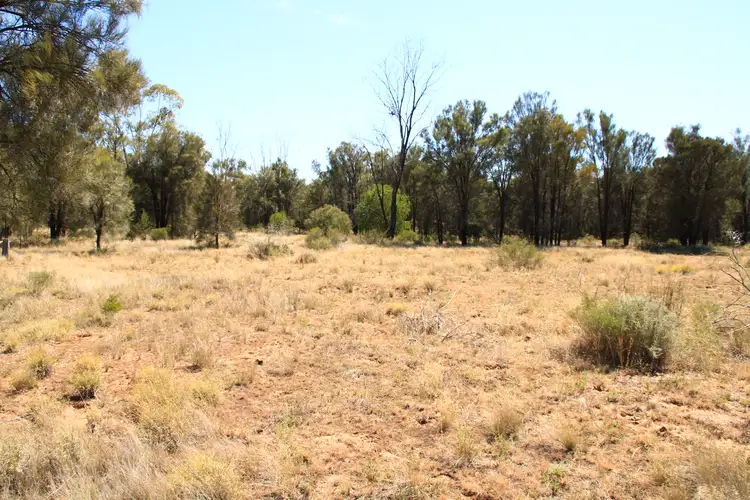 446 Hulls Road, Wee Waa NSW 2388