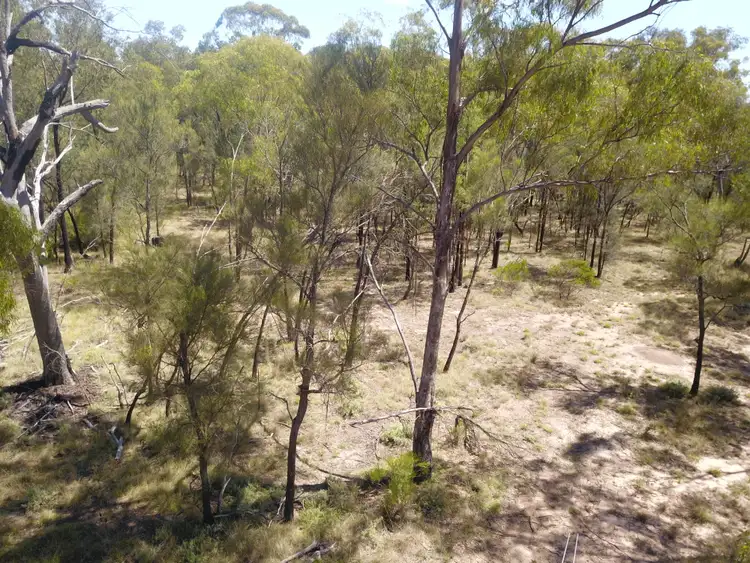 Second view of Homely rural property listing, 446 Hulls Road, Wee Waa NSW 2388