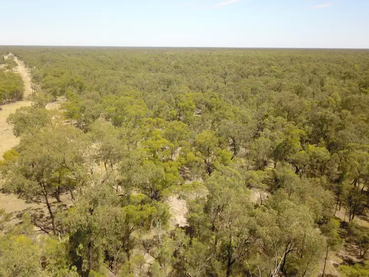 Third view of Homely rural property listing, 446 Hulls Road, Wee Waa NSW 2388