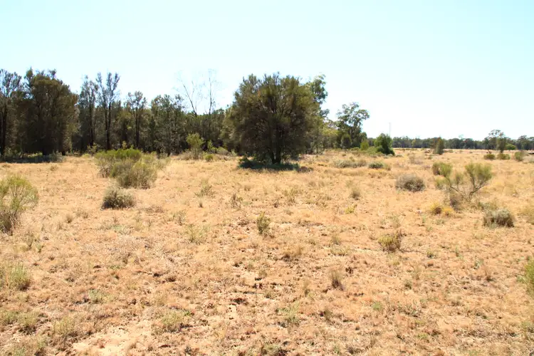 Fourth view of Homely rural property listing, 446 Hulls Road, Wee Waa NSW 2388
