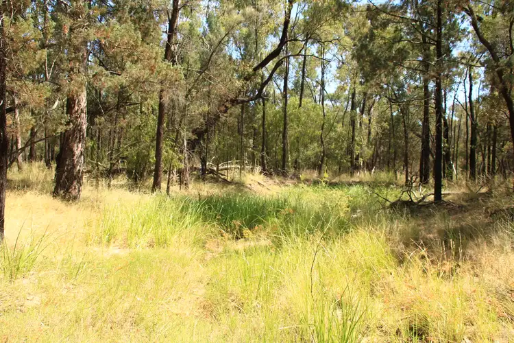 Fifth view of Homely rural property listing, 446 Hulls Road, Wee Waa NSW 2388