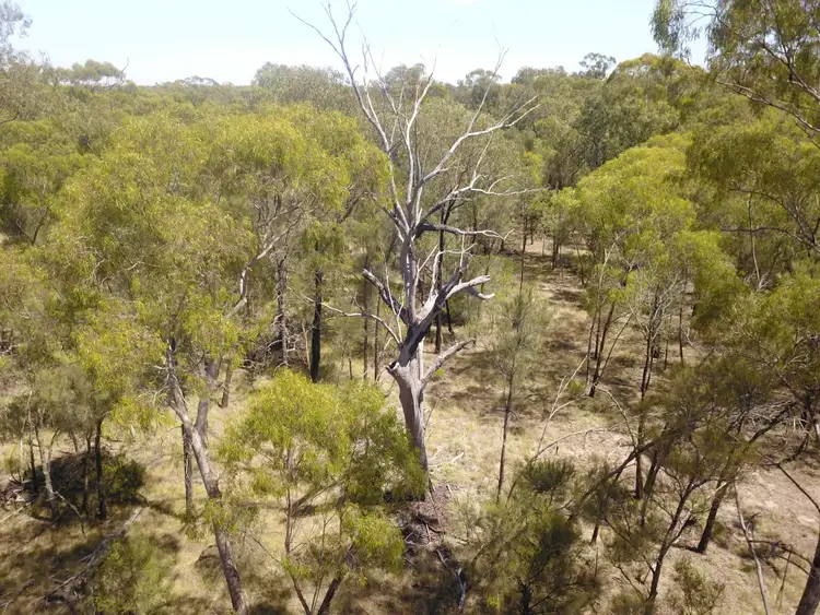 Sixth view of Homely rural property listing, 446 Hulls Road, Wee Waa NSW 2388