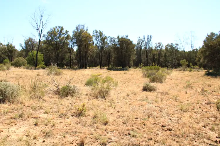 Seventh view of Homely rural property listing, 446 Hulls Road, Wee Waa NSW 2388