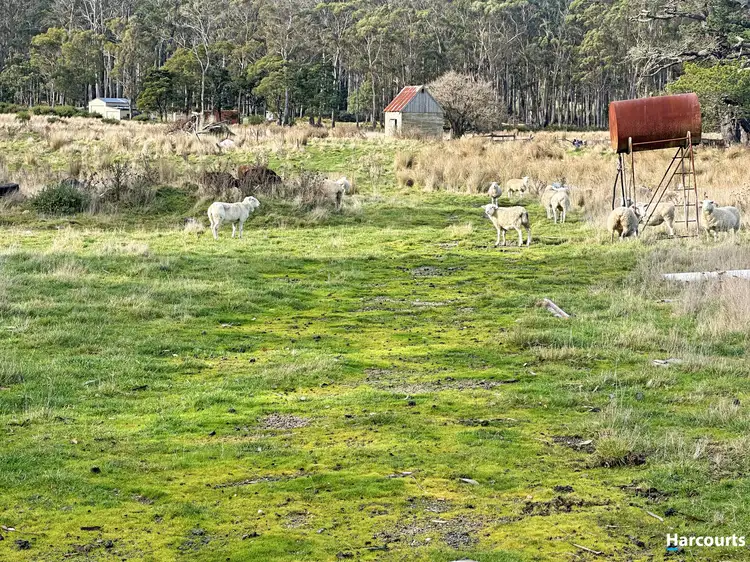 Fourth view of Homely land listing, Harefield Road, St Marys TAS 7215