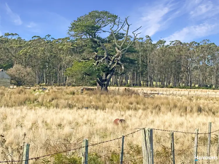 Fifth view of Homely land listing, Harefield Road, St Marys TAS 7215