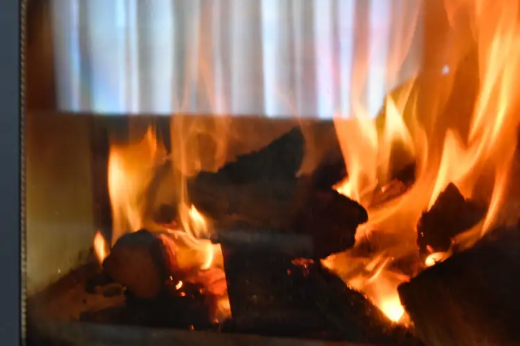 Seventh view of Homely house listing, 19 Conellan Terrace, Parmelia WA 6167