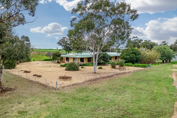 Main view of Homely rural property listing, 447 Wetmores Lane, Milbrulong NSW 2656