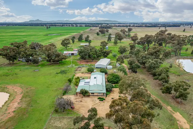Second view of Homely rural property listing, 447 Wetmores Lane, Milbrulong NSW 2656