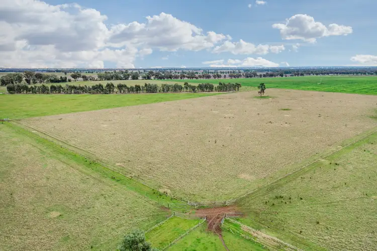 Third view of Homely rural property listing, 447 Wetmores Lane, Milbrulong NSW 2656