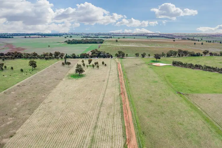 Fourth view of Homely rural property listing, 447 Wetmores Lane, Milbrulong NSW 2656