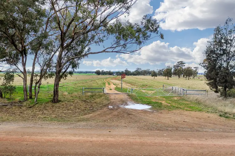 Fifth view of Homely rural property listing, 447 Wetmores Lane, Milbrulong NSW 2656