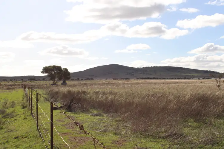 Fifth view of Homely rural property listing, "Woodlands" Black Rock Road, Minvalara SA 5422