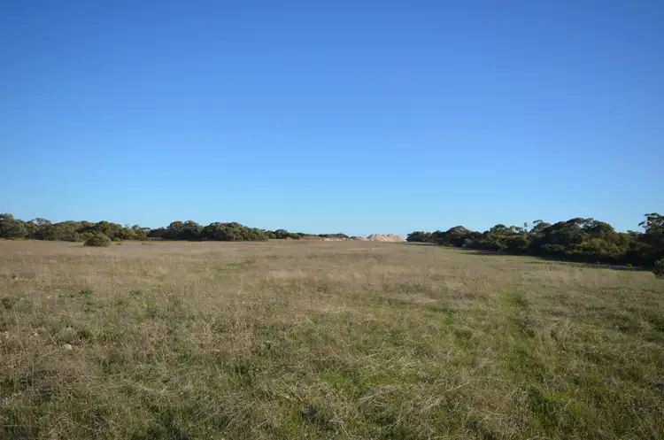 Fourth view of Homely rural property listing, Lots 91,91 & 393 Peter Road, Sherlock SA 5301