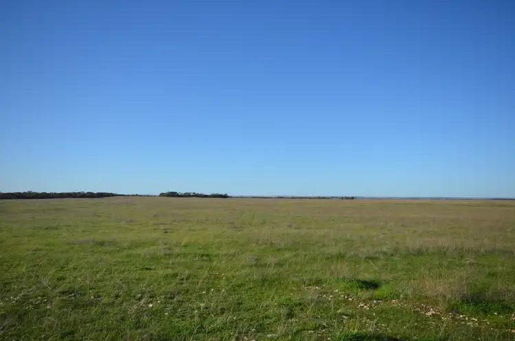 Fifth view of Homely rural property listing, Lots 91,91 & 393 Peter Road, Sherlock SA 5301