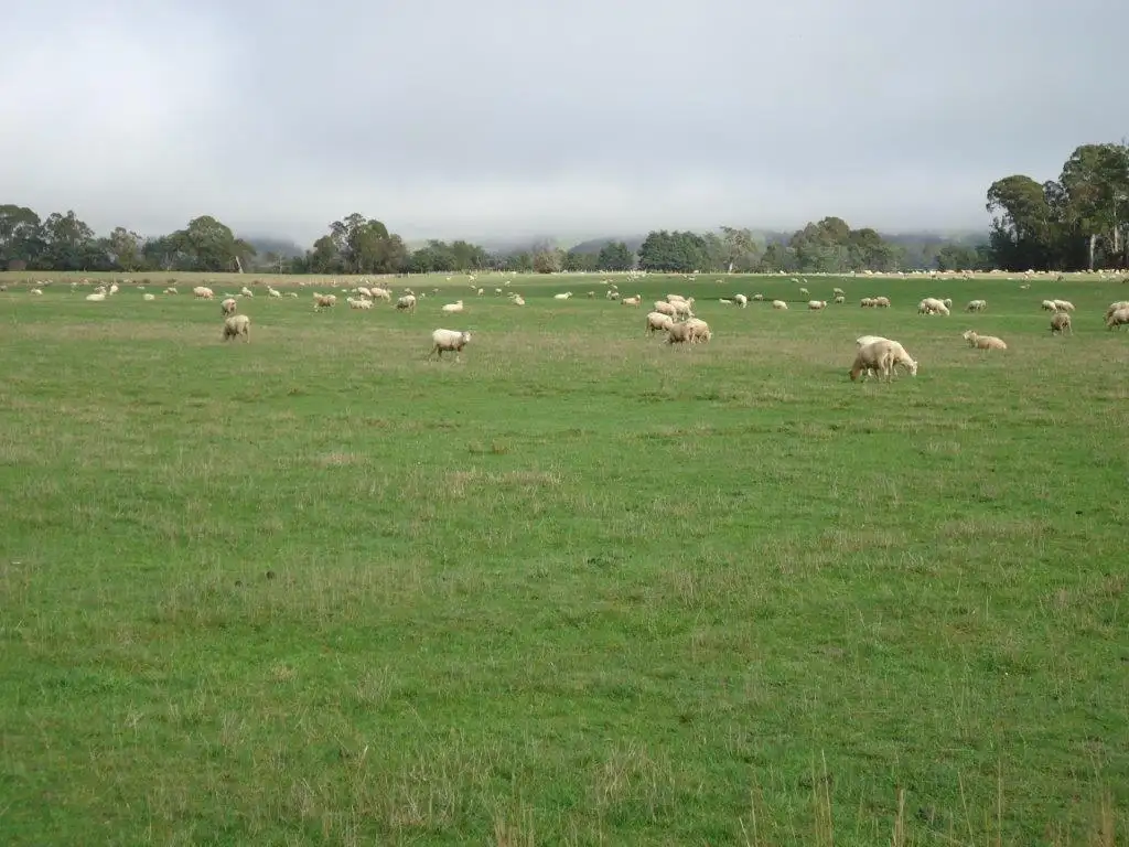 Main view of Homely rural property listing, 32 Cheshunt Road, Meander TAS 7304