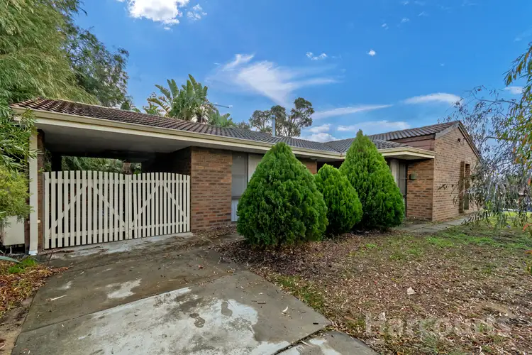 Main view of Homely house listing, 21 Warrandyte Drive, Craigie WA 6025
