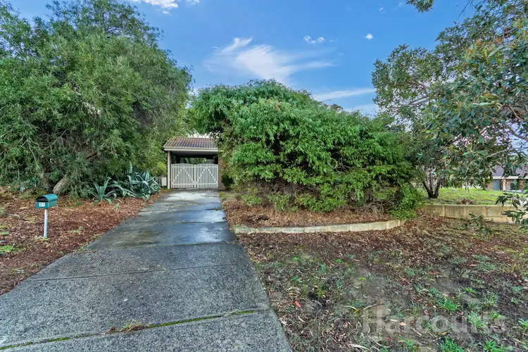 Second view of Homely house listing, 21 Warrandyte Drive, Craigie WA 6025