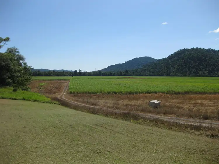1136 Silkwood-Japoon Road, Japoonvale QLD 4856