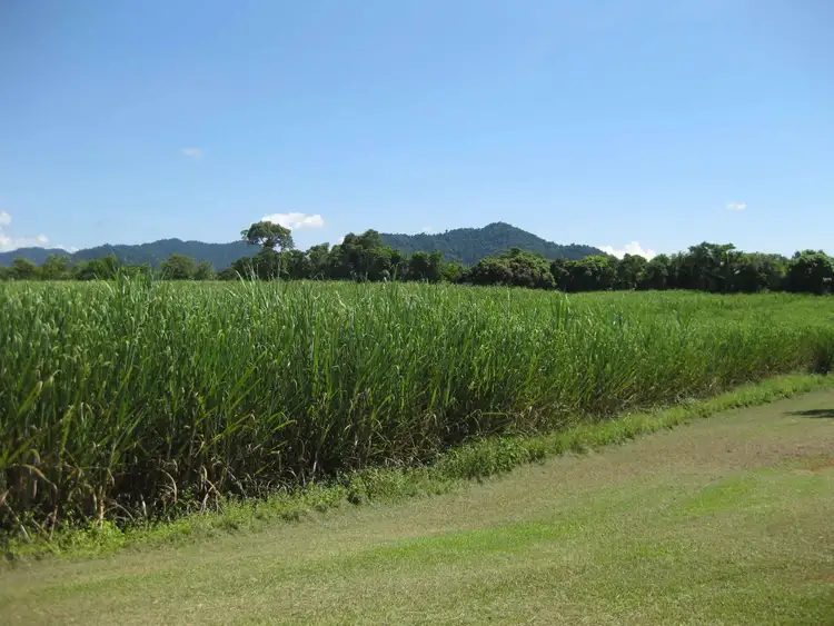 Third view of Homely rural property listing, 1136 Silkwood-Japoon Road, Japoonvale QLD 4856