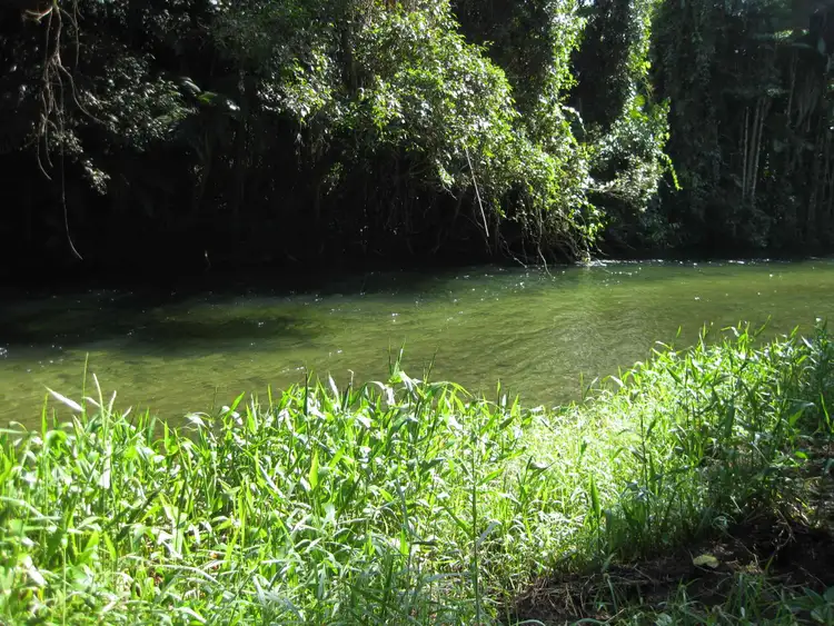 Fifth view of Homely rural property listing, 1136 Silkwood-Japoon Road, Japoonvale QLD 4856