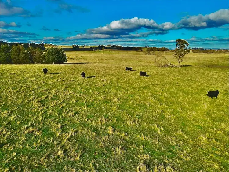 Fourth view of Homely rural property listing, Lot 4 DP1119332 Mount Rae Road Roslyn, Crookwell NSW 2583
