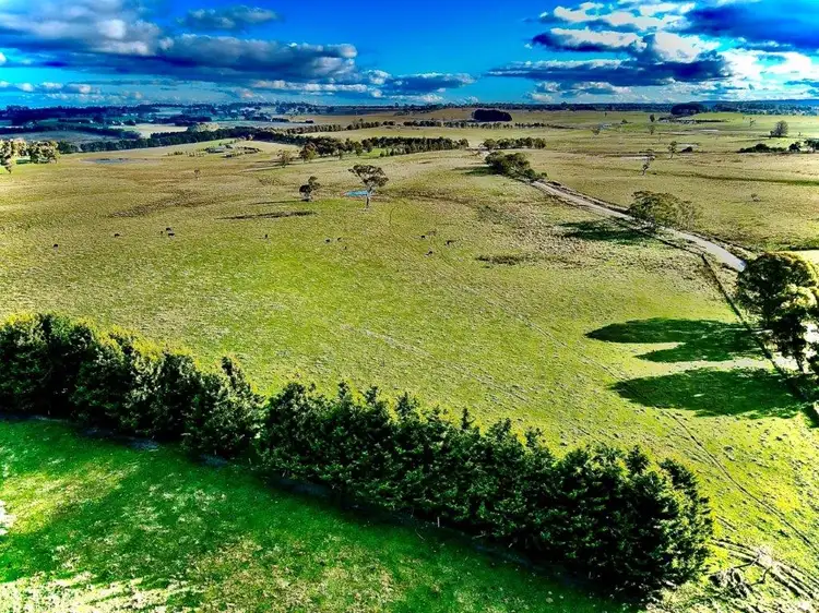 Sixth view of Homely rural property listing, Lot 4 DP1119332 Mount Rae Road Roslyn, Crookwell NSW 2583
