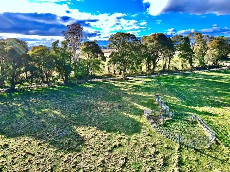 Seventh view of Homely rural property listing, Lot 4 DP1119332 Mount Rae Road Roslyn, Crookwell NSW 2583