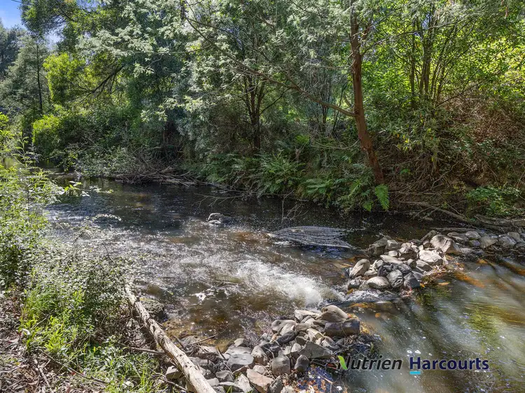 Main view of Homely house listing, 135 Silver Creek Road, Flowerdale VIC 3717