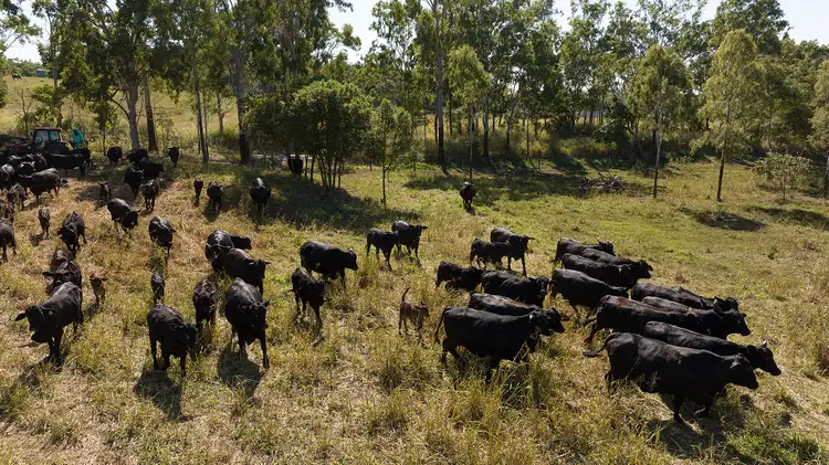 Second view of Homely rural property listing, 2121 Yakapari Seaforth Road, Seaforth QLD 4741