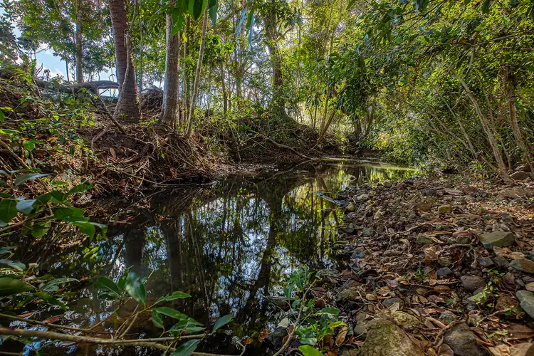 Fourth view of Homely rural property listing, 2121 Yakapari Seaforth Road, Seaforth QLD 4741