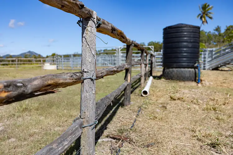 Fifth view of Homely rural property listing, 2121 Yakapari Seaforth Road, Seaforth QLD 4741