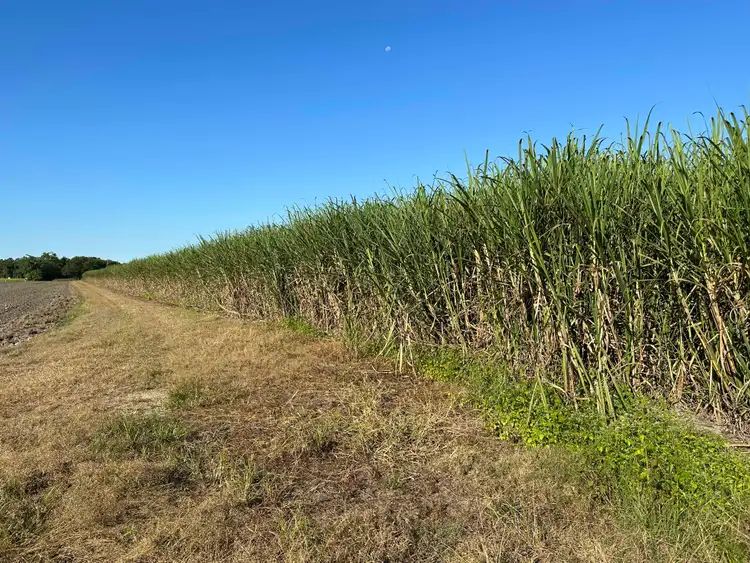 Second view of Homely rural property listing, Lot 1 Davidson Road & Henry Road, Euramo QLD 4854