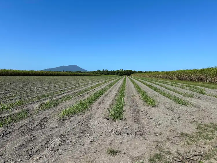 Third view of Homely rural property listing, Lot 1 Davidson Road & Henry Road, Euramo QLD 4854