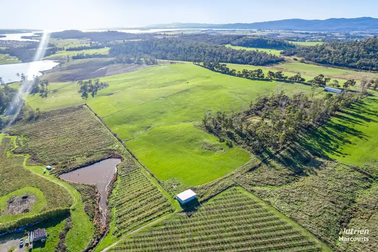 Fourth view of Homely rural property listing, Lot 2 Batman Highway, Sidmouth TAS 7270