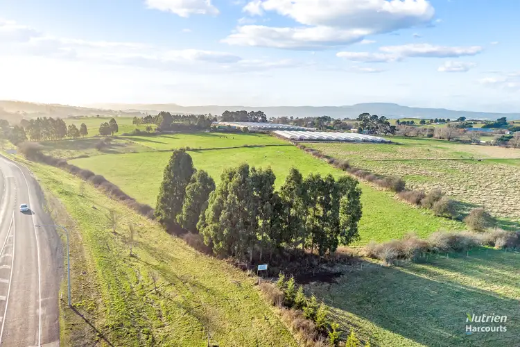Fifth view of Homely rural property listing, 790 Hobart Road, Breadalbane TAS 7258
