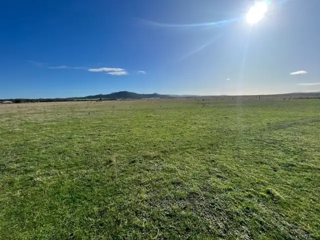 Main view of Homely rural property listing, Lot 1 Golden Mile Road, Lackrana TAS 7255