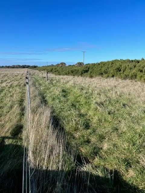 Fourth view of Homely rural property listing, Lot 1 Golden Mile Road, Lackrana TAS 7255