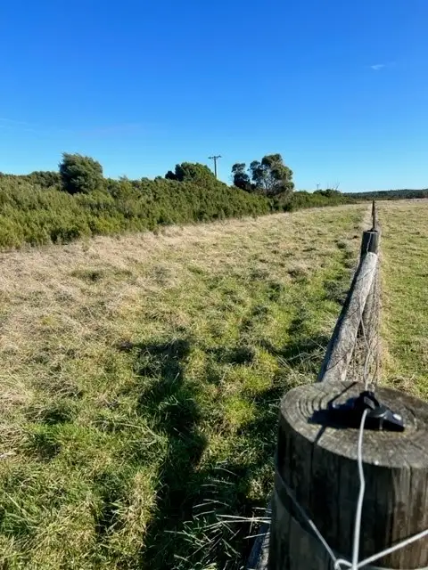 Fifth view of Homely rural property listing, Lot 1 Golden Mile Road, Lackrana TAS 7255