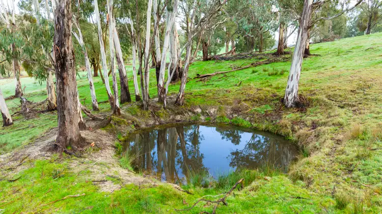 Sixth view of Homely rural property listing, . Larkins Lane, Upper Gundowring VIC 3691