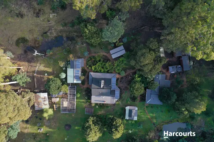 Fourth view of Homely house listing, 1184 Mole Creek Road, Needles TAS 7304
