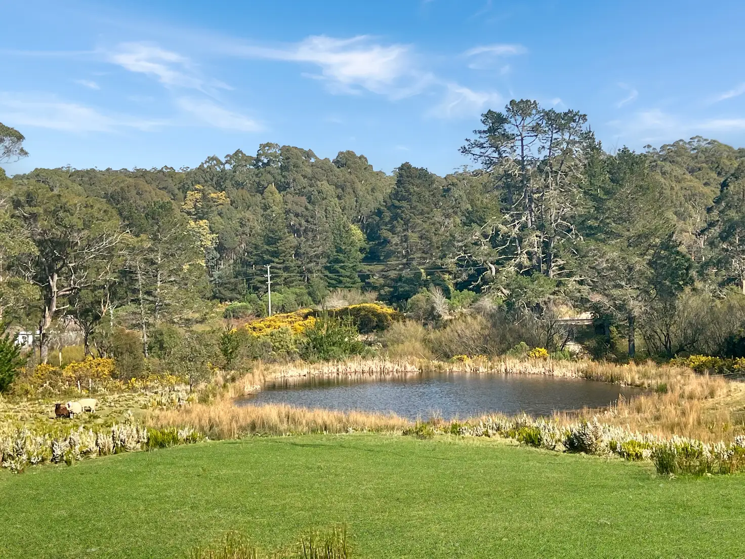 Main view of Homely house listing, 22 Gillies Road, St Marys TAS 7215