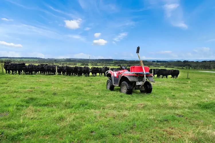 Third view of Homely rural property listing, 445 Koonwarra-Inverloch Road, Leongatha South VIC 3953